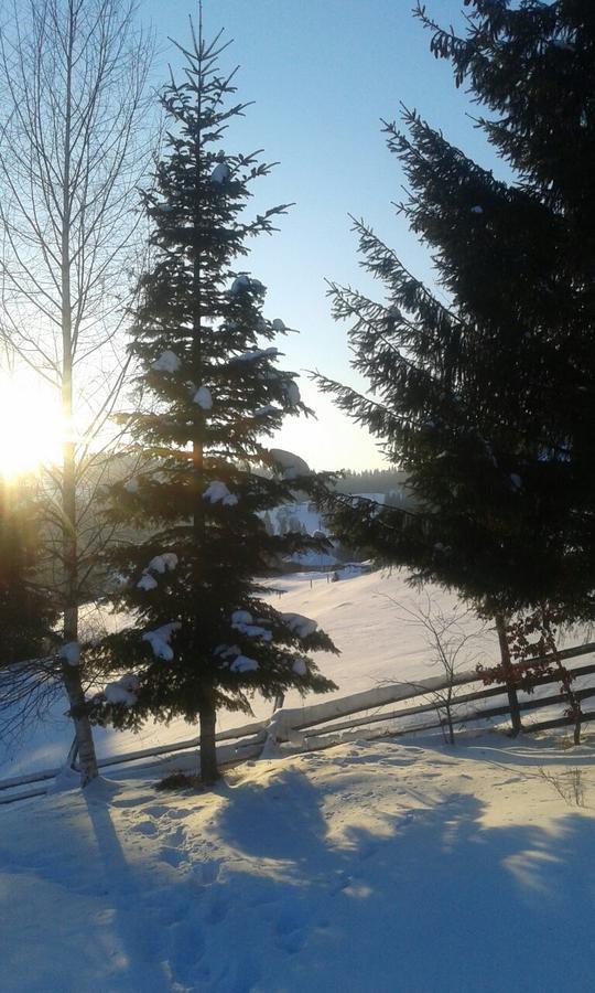 Cottage Palitra Yablunytsya Exterior foto