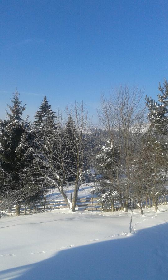 Cottage Palitra Yablunytsya Exterior foto