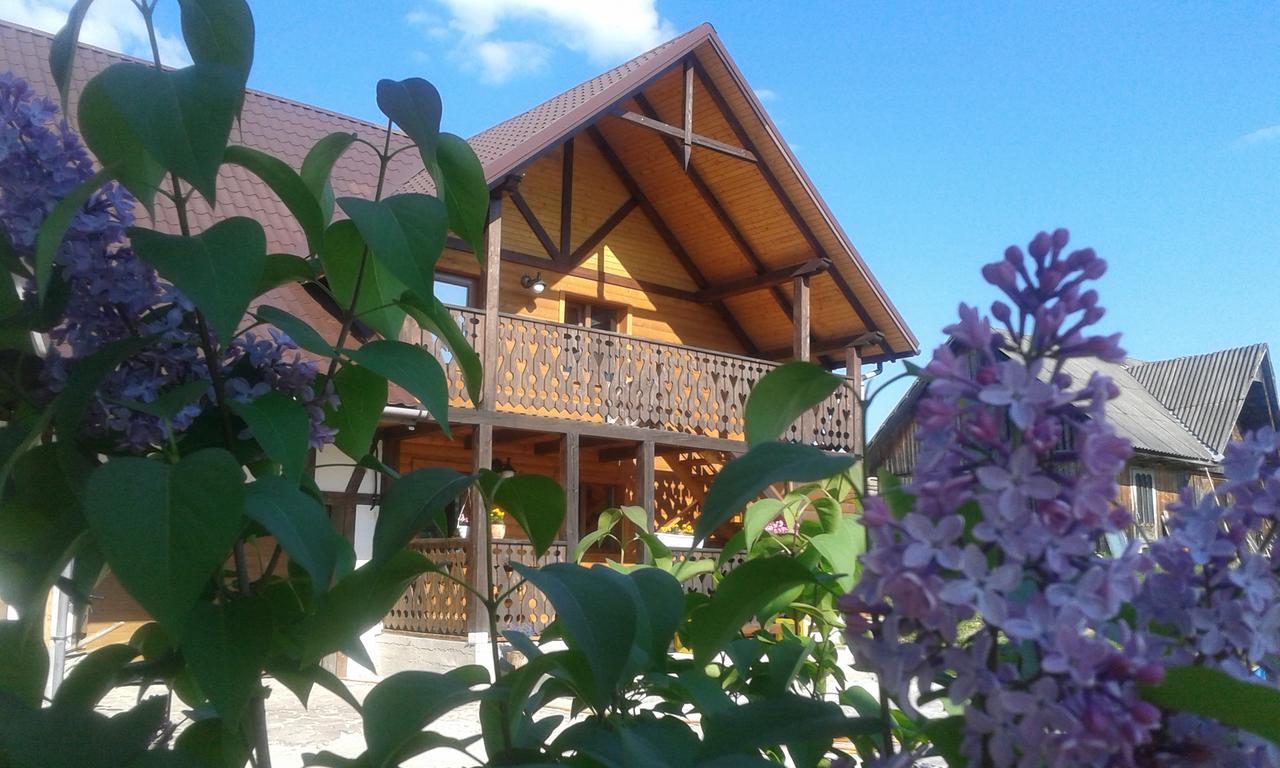 Cottage Palitra Yablunytsya Exterior foto